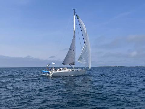 Hanse 370 e