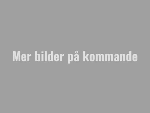 Mer bilder kommer