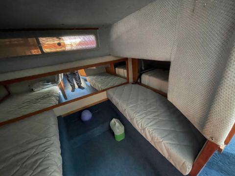 Sea Ray 268