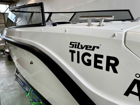 Silver Tiger